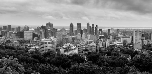 Gestion Immobilière Montréal