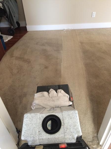 Ecodry Carpet and Upholstery Cleaning Services.
