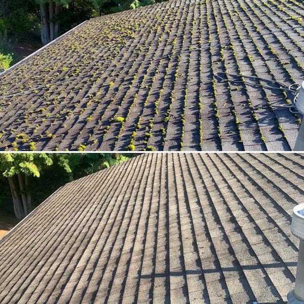 Coastal Roof Cleaning Experts