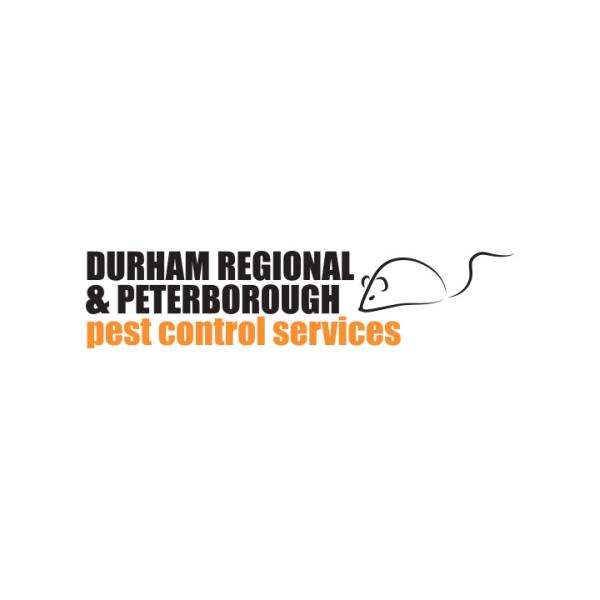 Durham Regional Pest Control Services