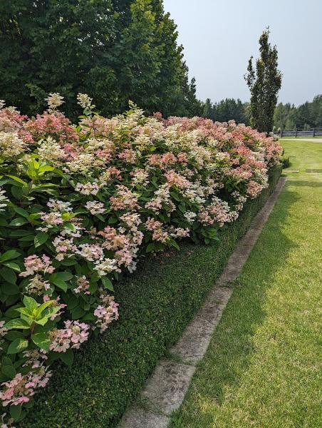 Diamond Groundskeeping Services