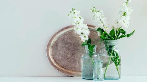 Taylor Dawson Designs