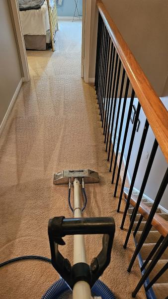 Carpet Cleaning Exclusive Home Services