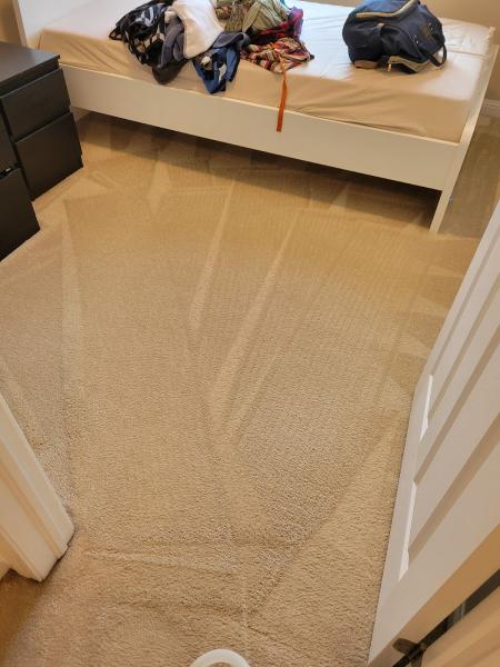 Carpet Cleaning Exclusive Home Services