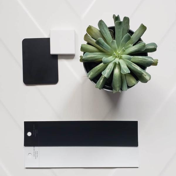 Urbanus Interiors
