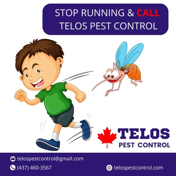 Telos Pest Control -Toronto