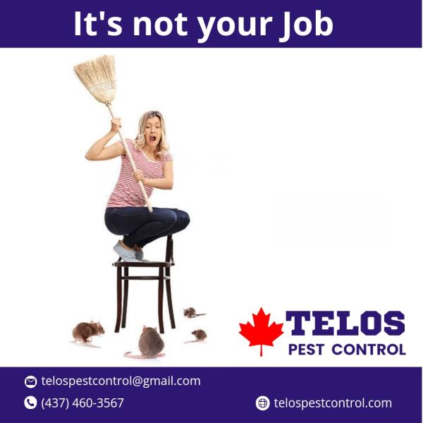 Telos Pest Control -Toronto