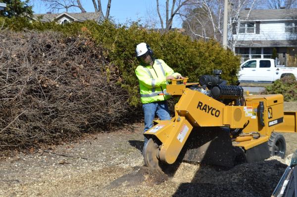 Ottawa Stump Removal Inc.