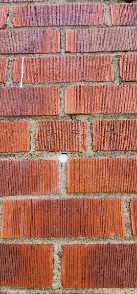 Evergreen Premium Insulation