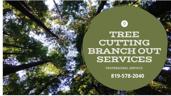 Tree Cutting Branch Out Services