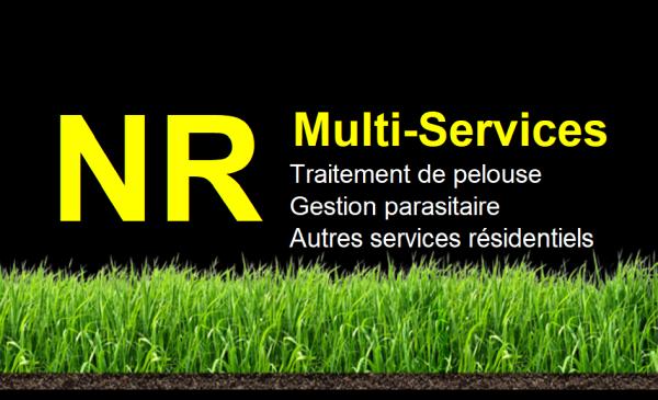 NR Multi-Services