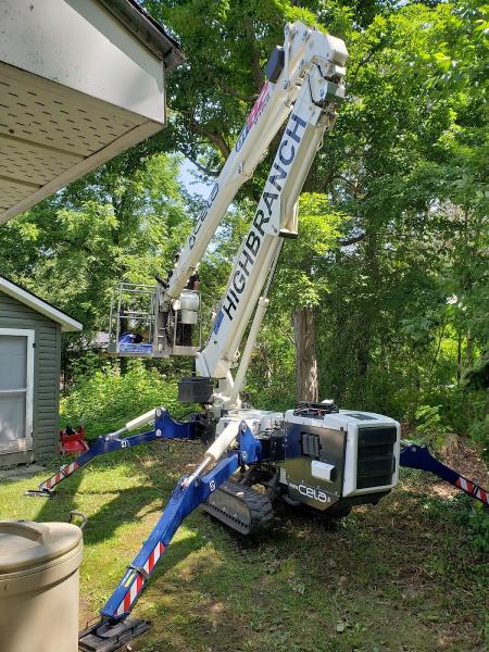 High Branch Tree Services