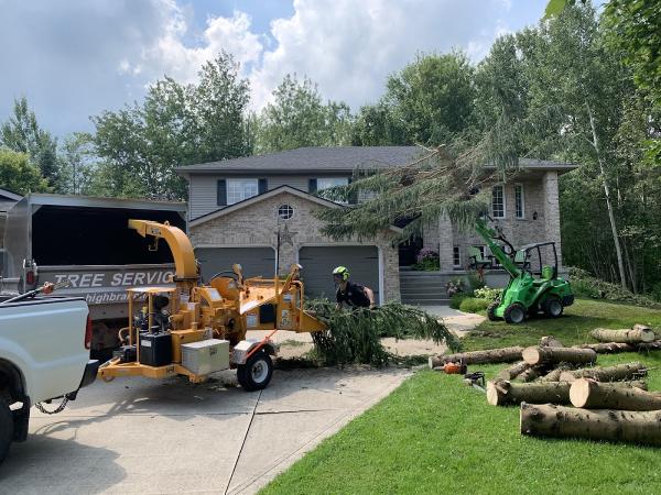 High Branch Tree Services