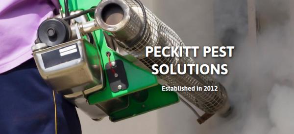 Peckitt Pest Solutions