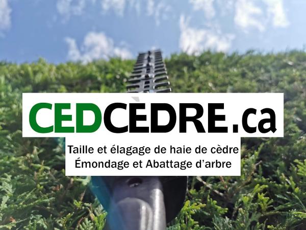 Cedcedre.ca