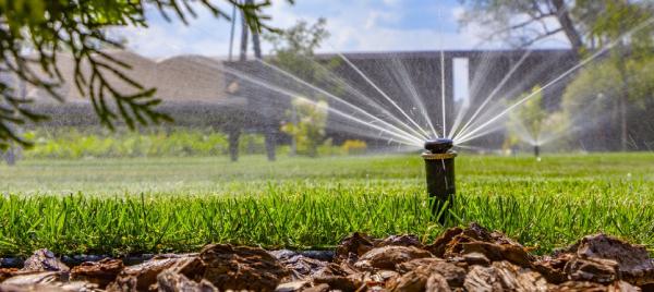 Rainco Irrigation