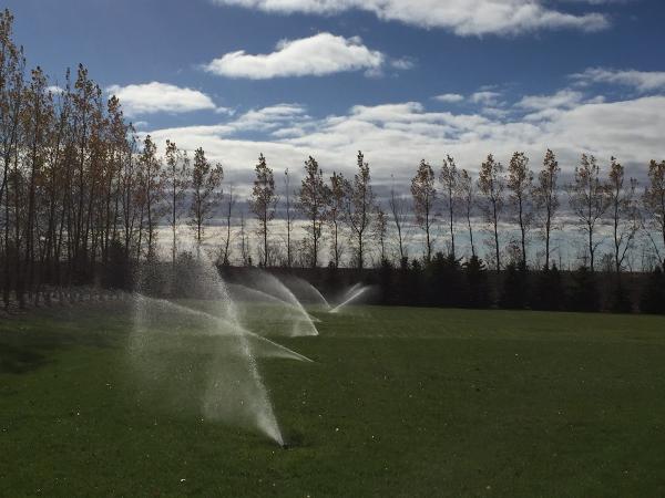 Queen City Irrigation