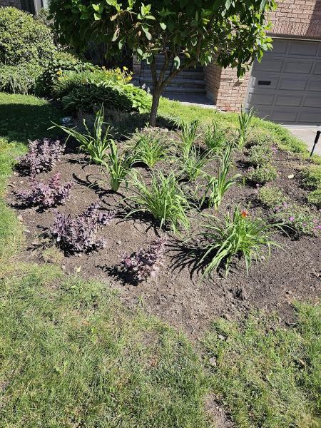 Primo Landscaping