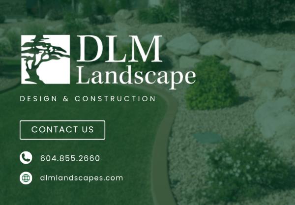 DLM Landscape