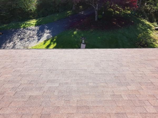 Greater Victoria Roof Cleaning