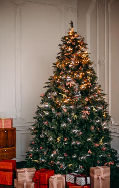 Christmas Trees To Your Door