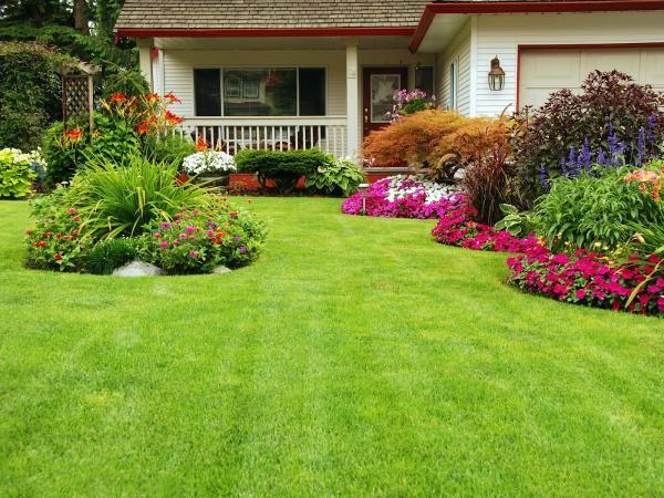 B.G. Lawncare Services