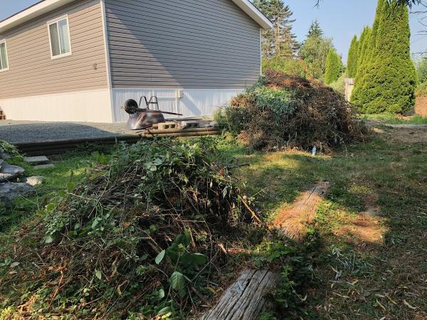 Fraser Valley Junk Solutions