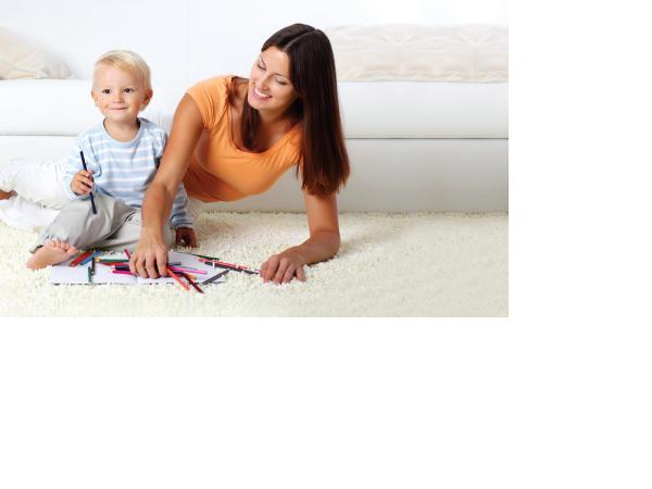 Sears Carpet & Upholstery Cleaning