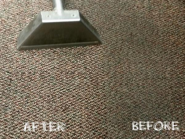 Sears Carpet & Upholstery Cleaning