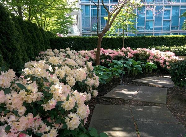 The Silent Gardener Ltd.