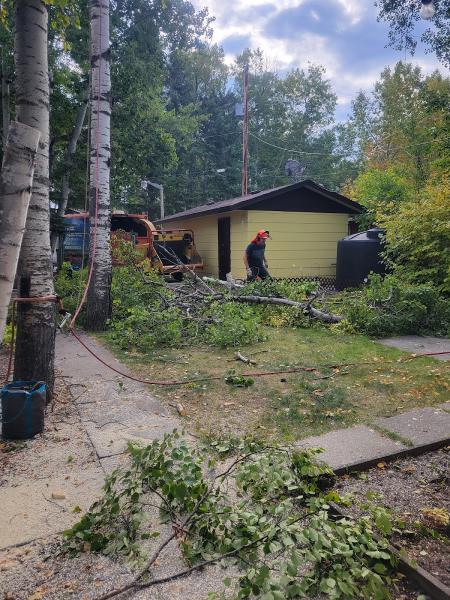 Cubs Tree Solutions Ltd