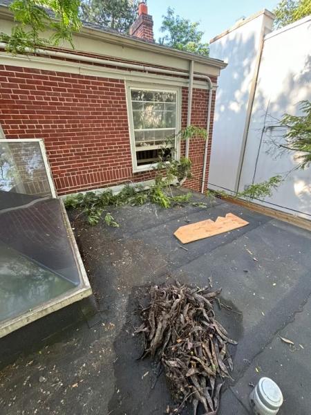 Perfect Window and Eaves Cleaning Inc.