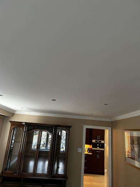 Popcorn Ceiling Removal