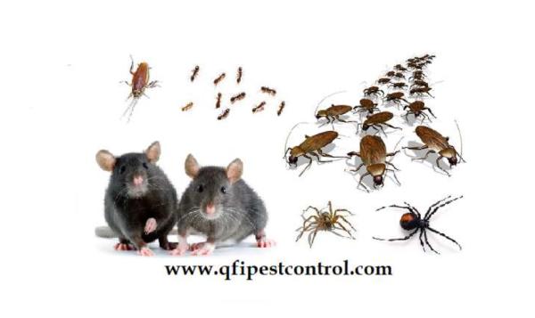 QFI Pest Control