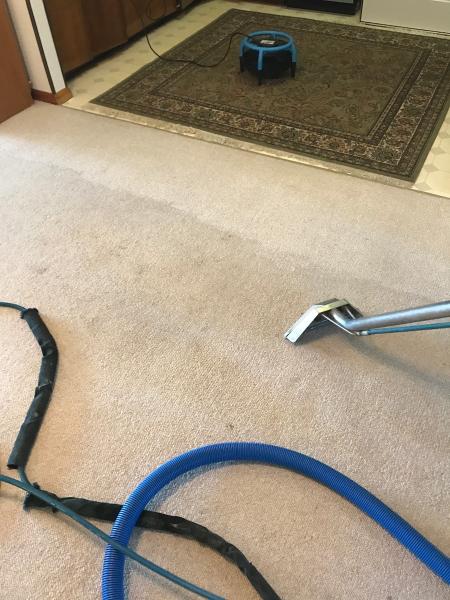 Grant's Carpet Cleaning Inc.