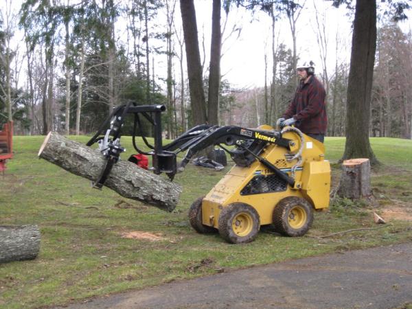 Arboreco Entretien d'Arbres