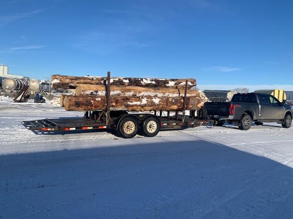 Ragged Ass Road Tree Services Red Deer