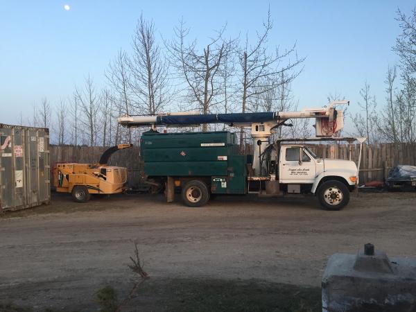 Ragged Ass Road Tree Services Red Deer