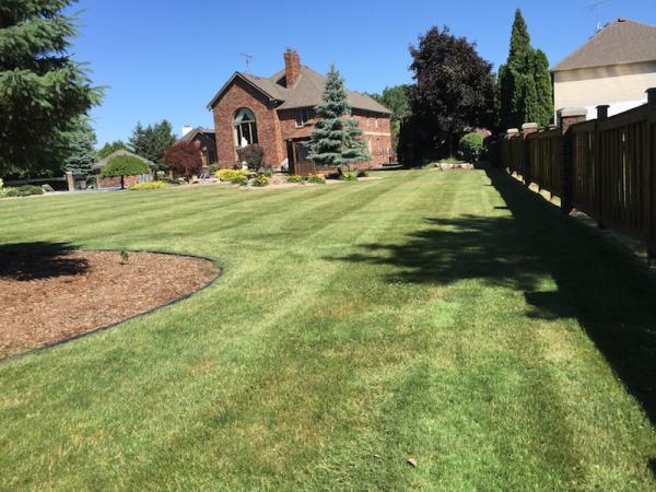 CGM Lawn Care & Landscaping