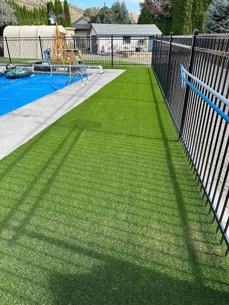 Always Green Synthetic Turf