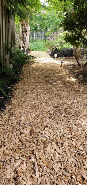 Cook's Lawn Maintenance