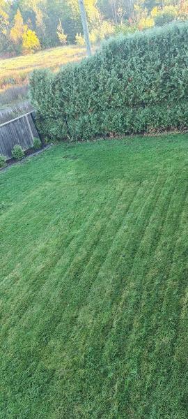 Kodiak Lawn Care