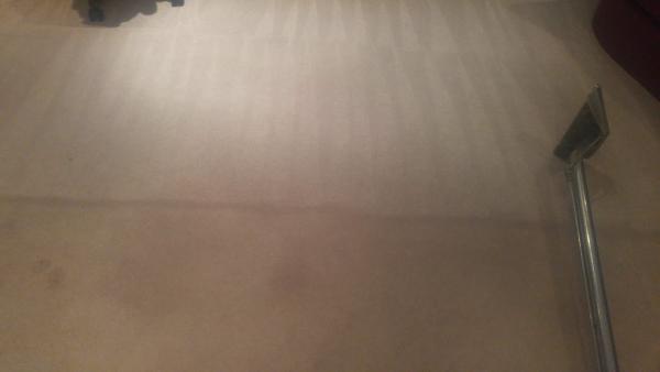 Eagle Carpet & Upholstery Services