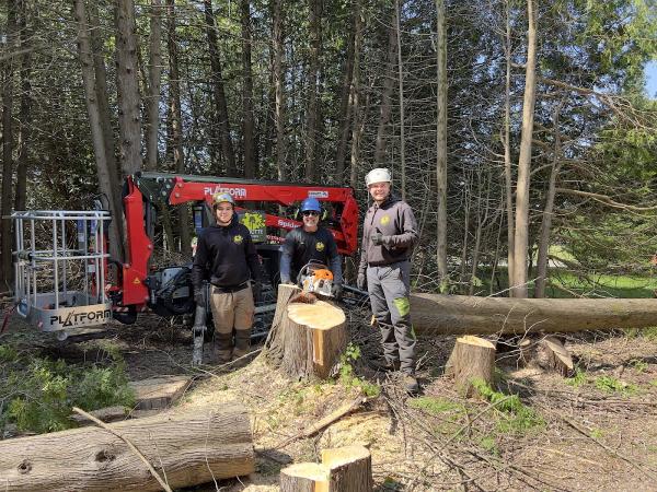 Sinotte et Fils Émondage