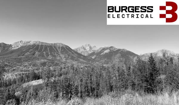 Burgess Electrical Services