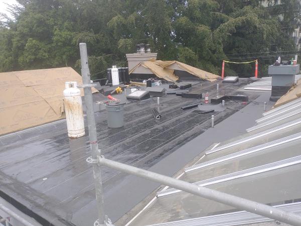 Xtreme Roofing