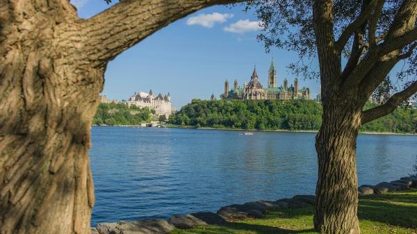 Re/Max Affiliates Results Realty Inc.