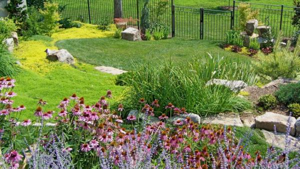 Raja Gardening & Landscaping