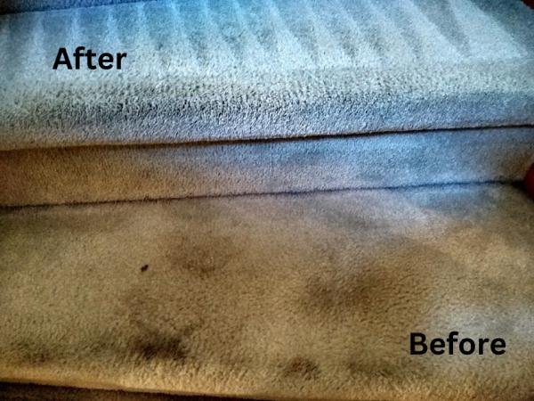 Honest Carpet Cleaning Oakville