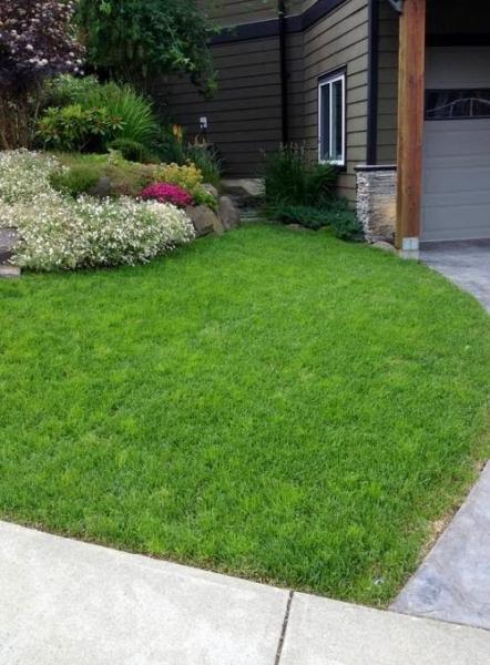 Lush Eco Lawns and Gardens